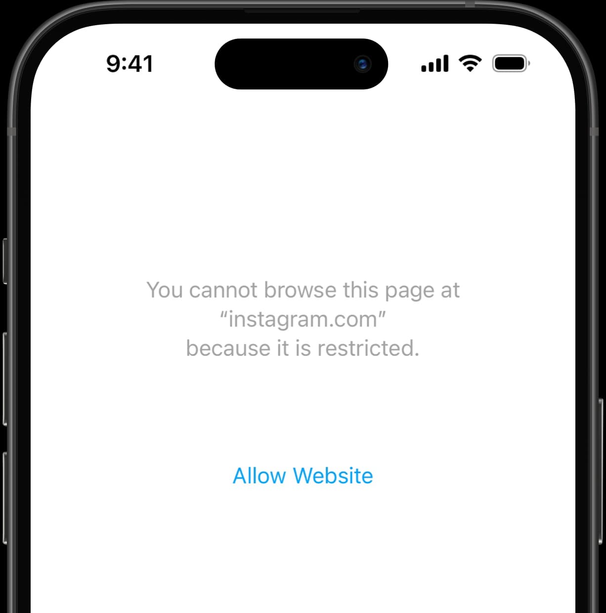 Restriction message indicating that instagram.com is blocked, with option to allow the website.