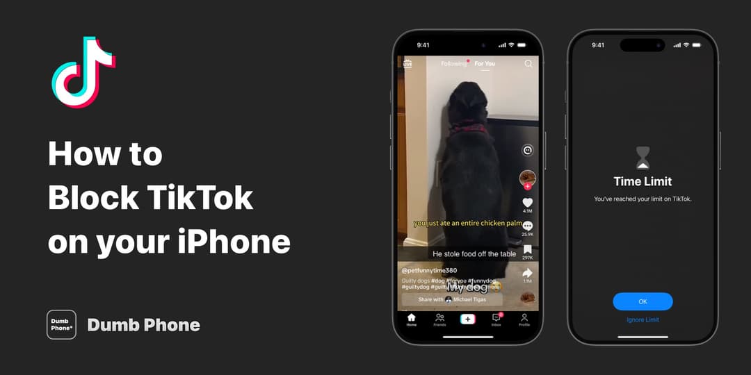 How to Block TikTok on iPhone in 2025" article. Shows TikTok app interface on an iPhone with a video of a dog, alongside a screen displaying a Time Limit notification for TikTok. TikTok logo and Dumb Phone logo are also visible.