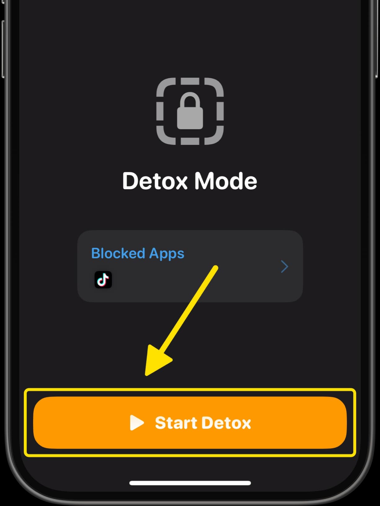 Dumb Phone Detox Mode screen showing TikTok listed under Blocked Apps with Start Detox button highlighted.