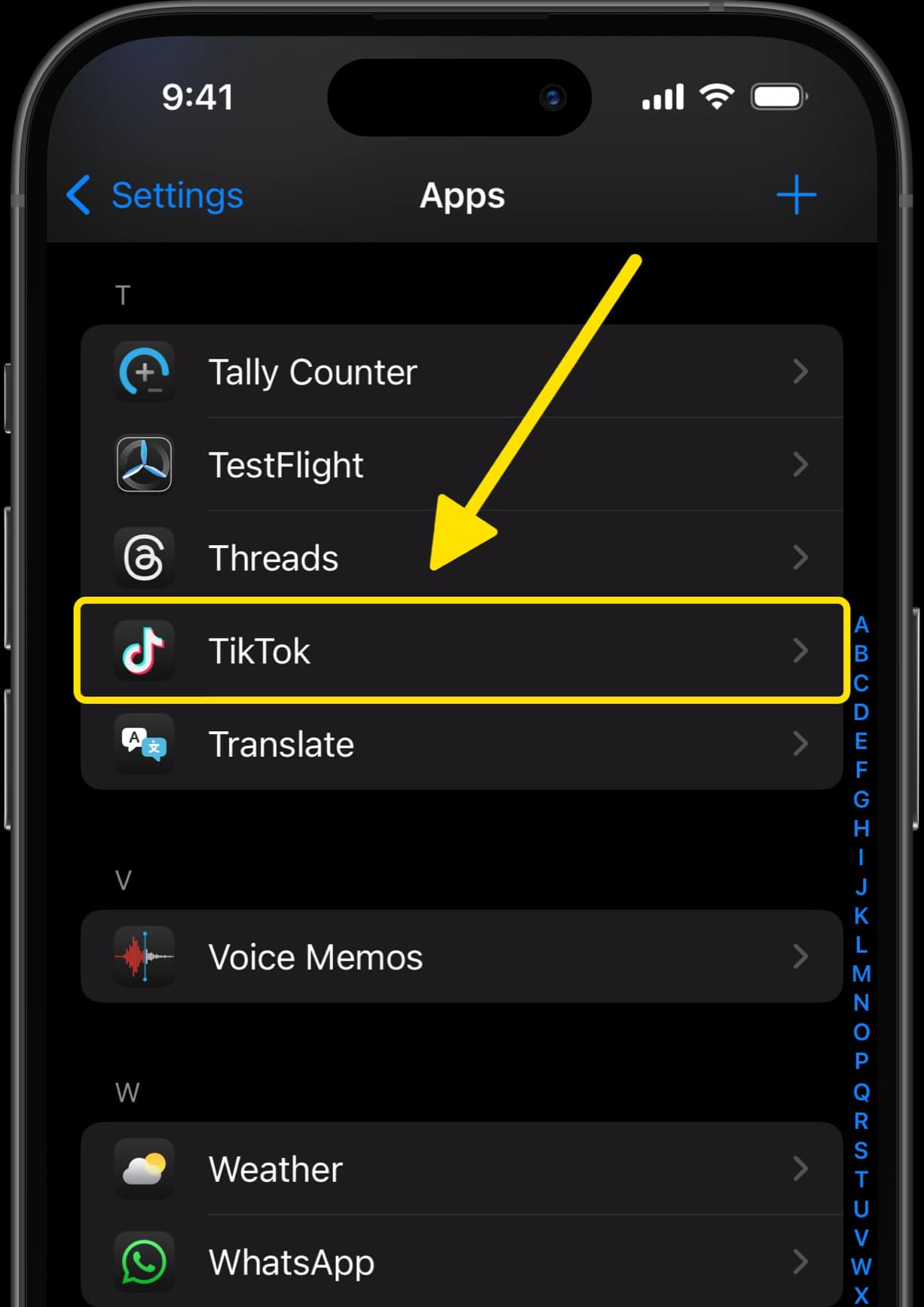 Apps settings screen with arrow pointing to TikTok option.