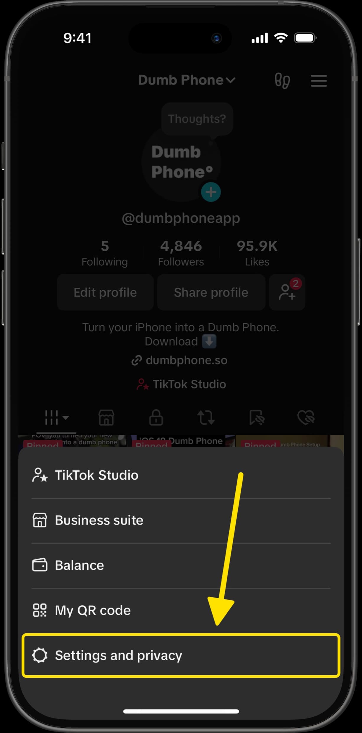 TikTok profile screen with arrow pointing to Settings and Privacy option.