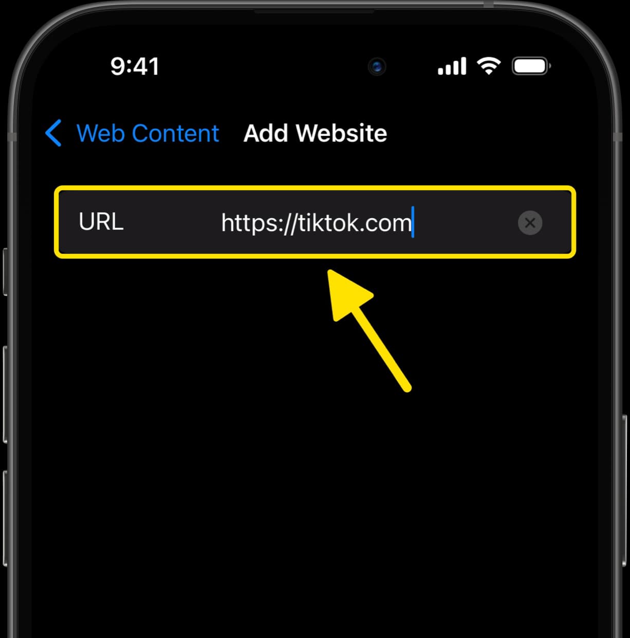 Add Website screen with tiktok.com typed in URL field and highlighted.