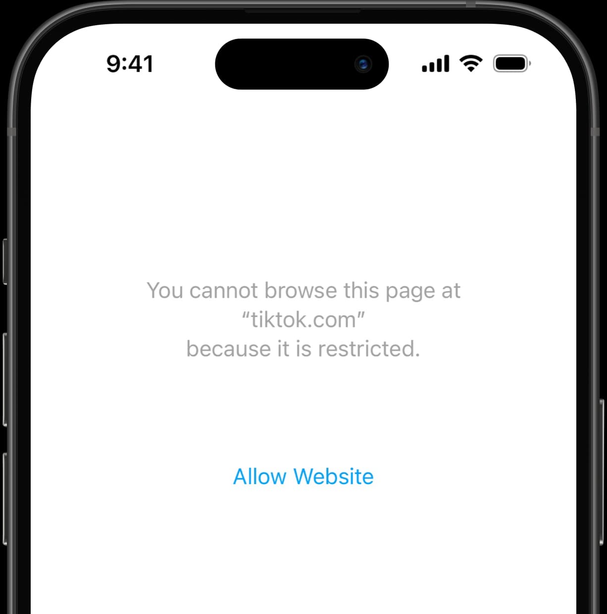 Restriction message indicating that tiktok.com is blocked, with option to allow the website.