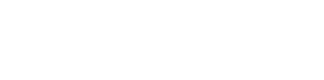 VittorTech